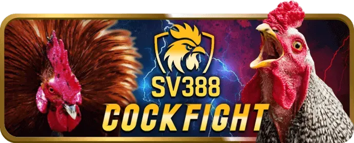 Hỗ trợ khách hàng 24/7 v99 game